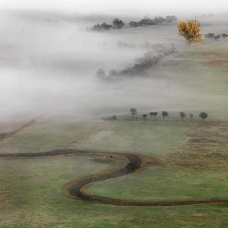 Hondos Classic & Nestani