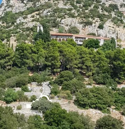 Hondos Classic & Nestani